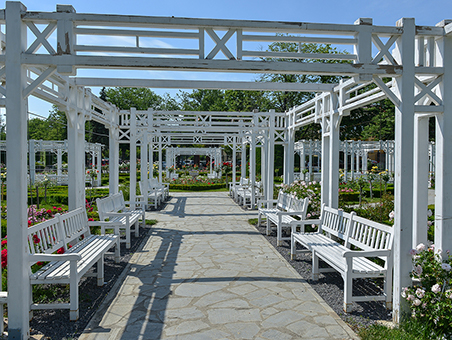 /assets/img/regiuni/Vest/proiecte/Parcul Rozelor.jpg